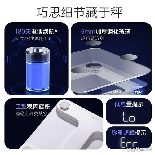 小熊体重秤质量怎么样?选购指南与使用心得